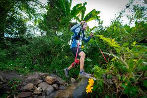 BIB: 166
                            <button type="button" onclick="openModal(15974717)" class="btn btn-primary btn-sm float-right btn-popup" data-toggle="modal" data-target=".modal-high-quality">
                        <i class="fas fa-shopping-cart"></i> Add to Cart
                    </button>
                                            <button type="button" onclick="isThisMe(15974717, true)" class="btn btn-success btn-sm float-right btn-popup btn-isme hidden" data-toggle="tooltip" data-placement="bottom" title="นี่คือรูปของคุณใช่ไหม คลิกที่นี่เพื่อเอาเข้าอัลบั้ม">
                        <i class="fas fa-plus"></i> Add to album
                    </button>
                    <button type="button" onclick="isThisMe(15974717, false)" class="btn btn-warning btn-sm float-right btn-popup btn-isnotme hidden">
                        <i class="fas fa-ban"></i> Remove from album
                    </button>